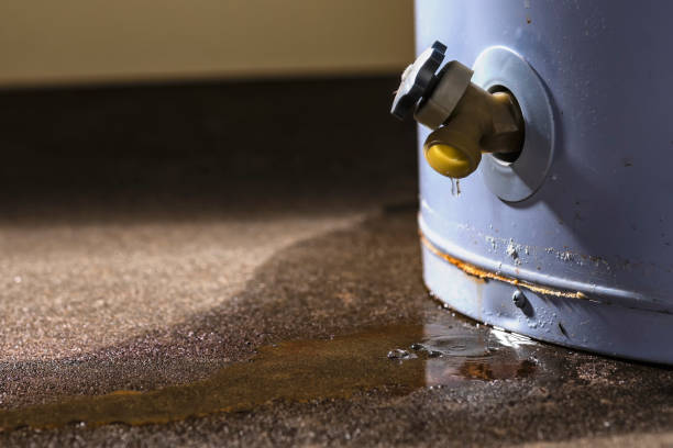 Best Carpet water damage restoration  in Denham Springs, LA