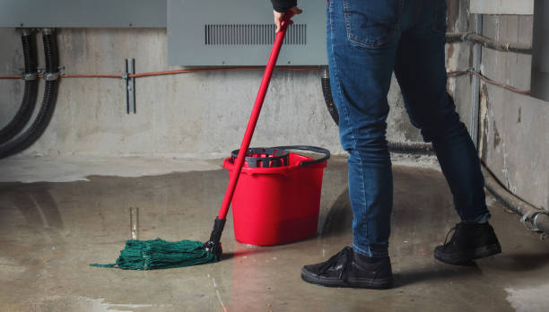 Best Fire Damage Restoration  in Denham Springs, LA
